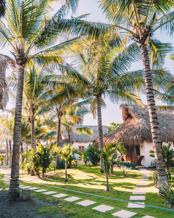 Paredon Surf House Hotel El Paredon Buena Vista ภายนอก รูปภาพ