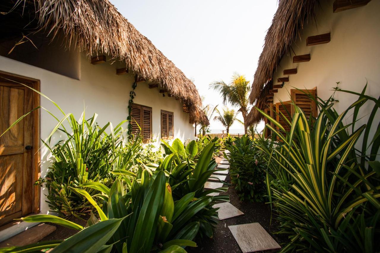 Paredon Surf House Hotel El Paredon Buena Vista ภายนอก รูปภาพ