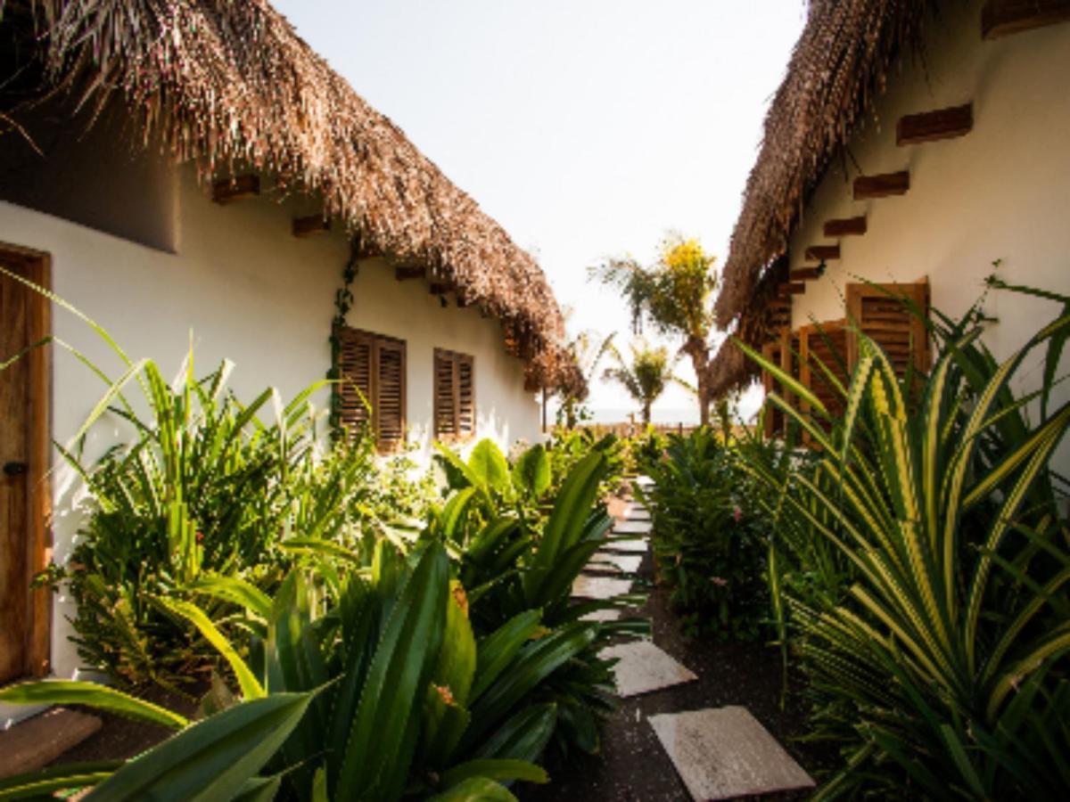 Paredon Surf House Hotel El Paredon Buena Vista ภายนอก รูปภาพ