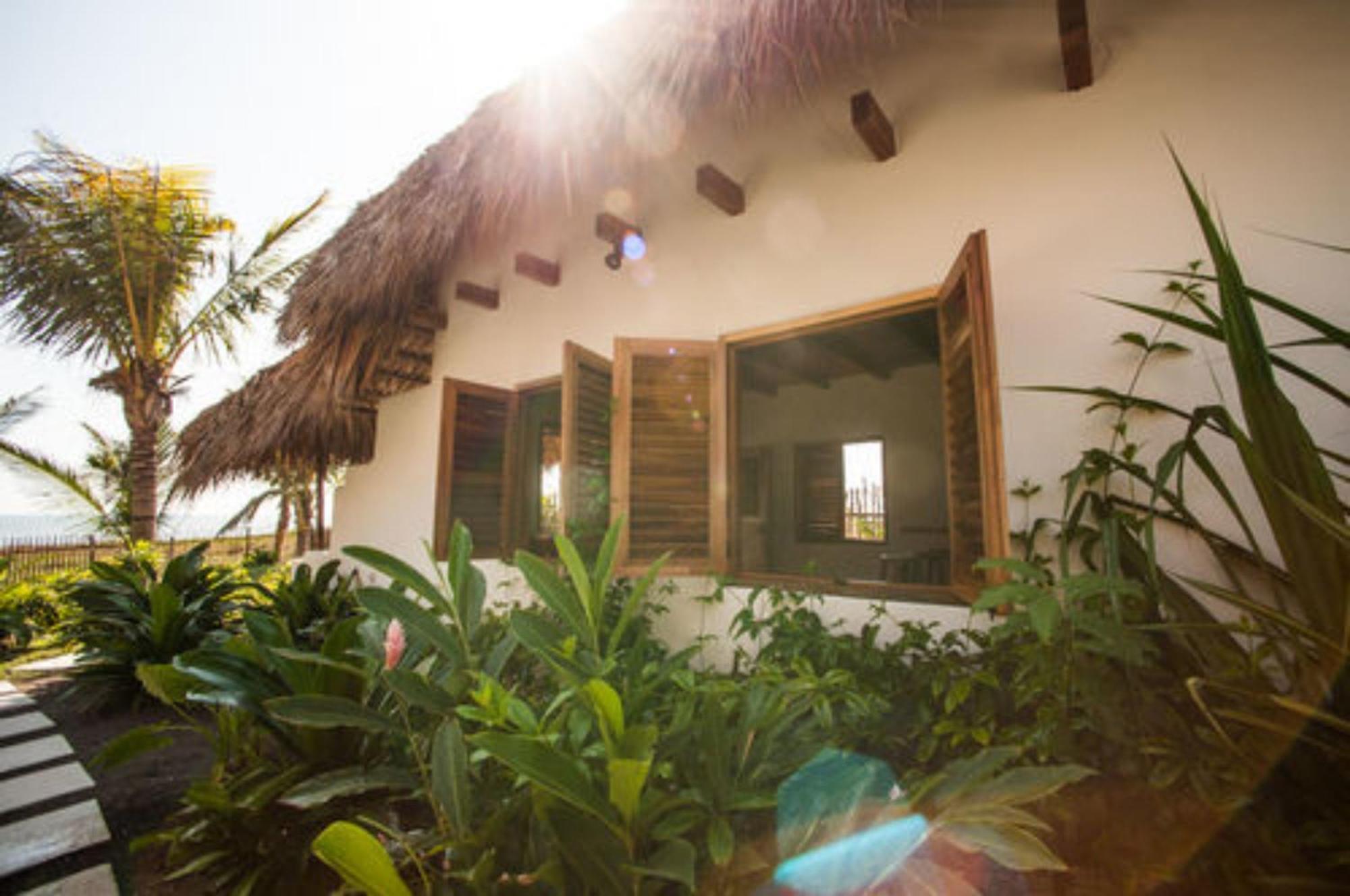 Paredon Surf House Hotel El Paredon Buena Vista ห้อง รูปภาพ