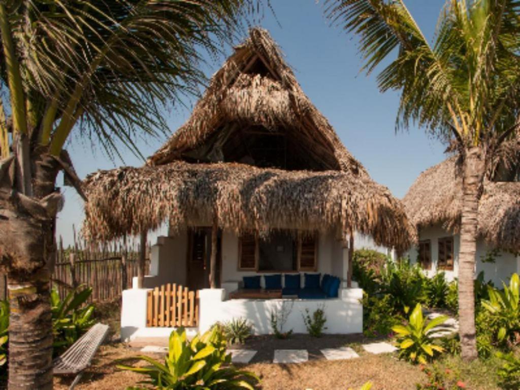 Paredon Surf House Hotel El Paredon Buena Vista ห้อง รูปภาพ
