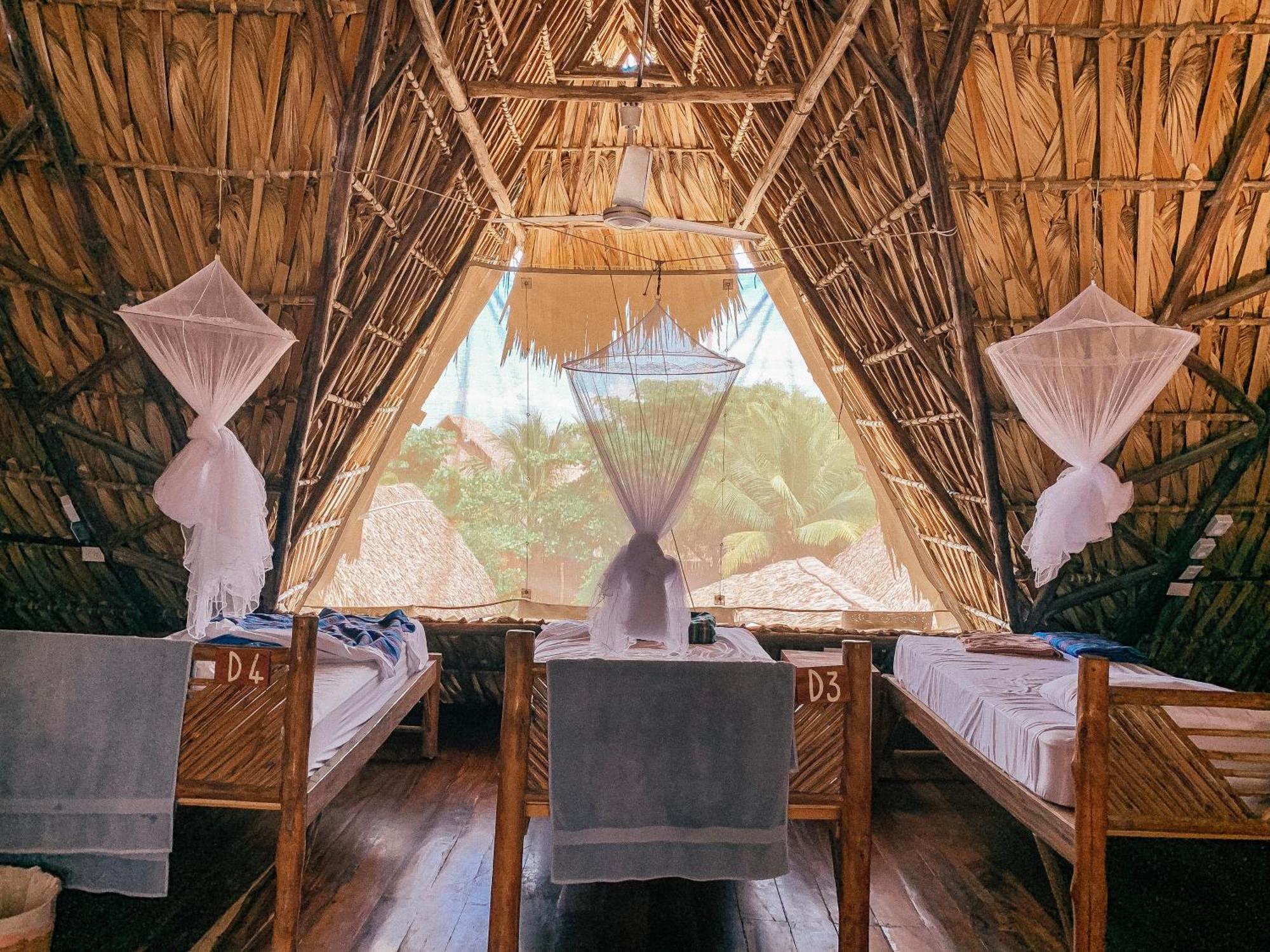 Paredon Surf House Hotel El Paredon Buena Vista ห้อง รูปภาพ
