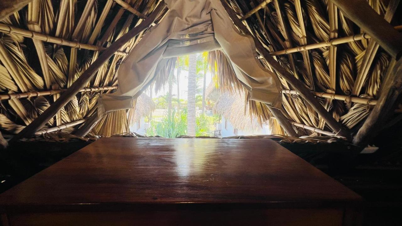 Paredon Surf House Hotel El Paredon Buena Vista ภายนอก รูปภาพ