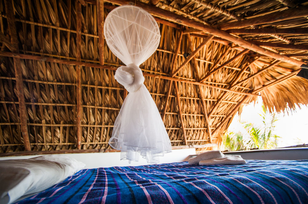 Paredon Surf House Hotel El Paredon Buena Vista ภายนอก รูปภาพ
