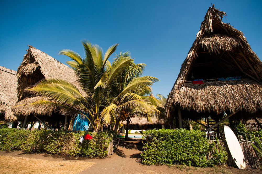 Paredon Surf House Hotel El Paredon Buena Vista ภายนอก รูปภาพ